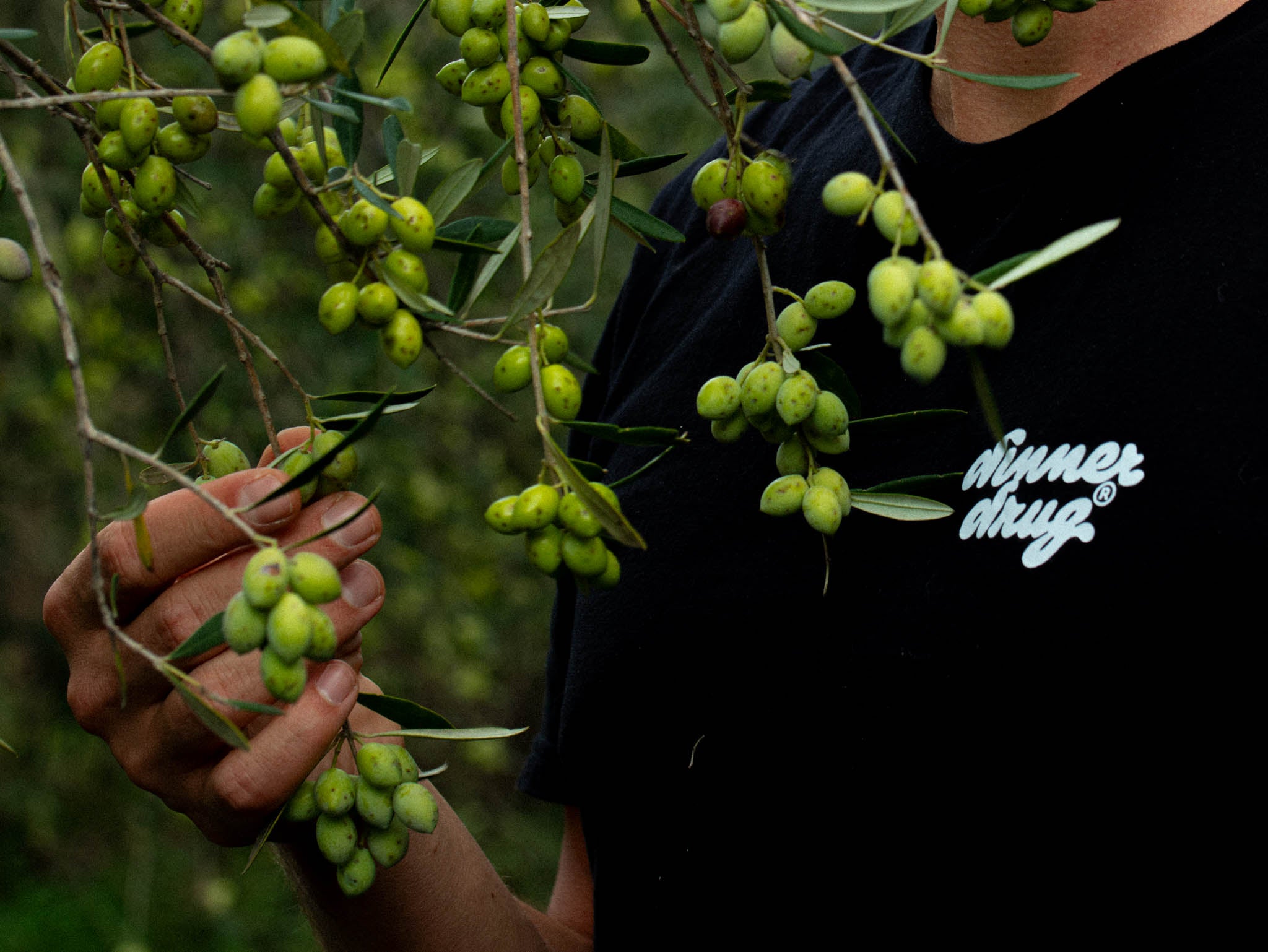 The best Greek olive oil out there in 2024